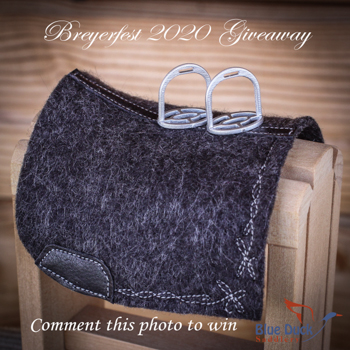 breyerfest giveaway002